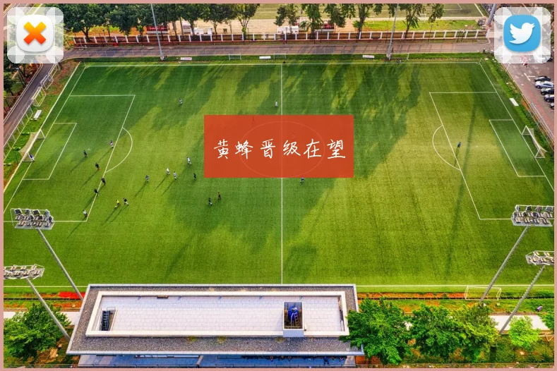 黄蜂晋级在望