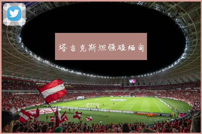 塔吉克斯坦强碰缅甸