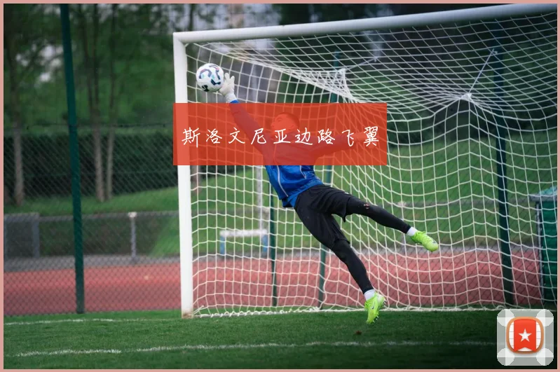 斯洛文尼亚边路飞翼