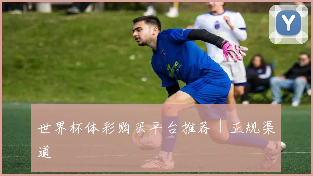 世界杯体彩购买平台推荐｜正规渠道