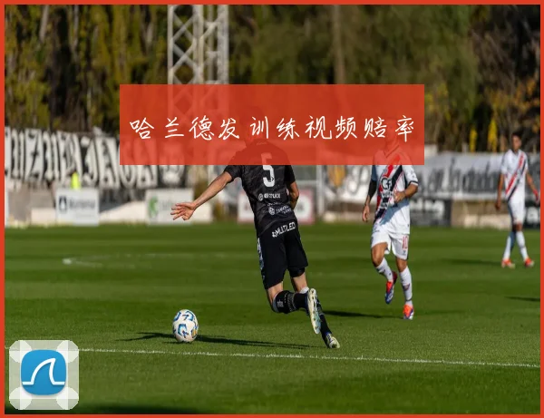 哈兰德发训练视频赔率