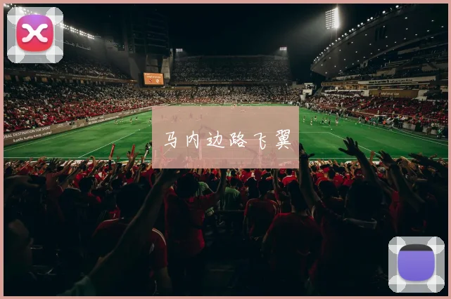 马内边路飞翼