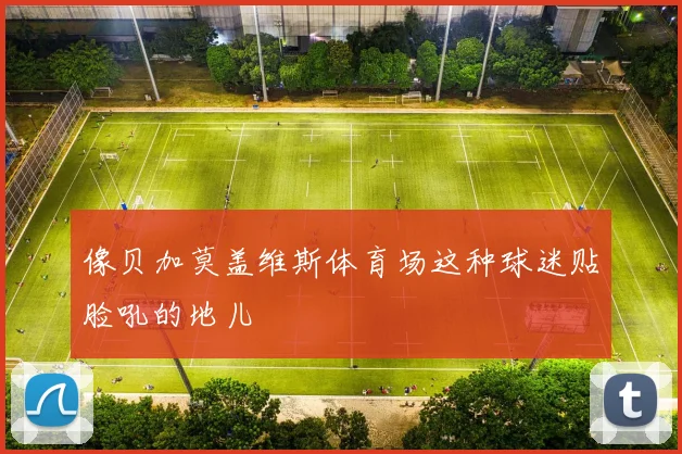 像贝加莫盖维斯体育场这种球迷贴脸吼的地儿