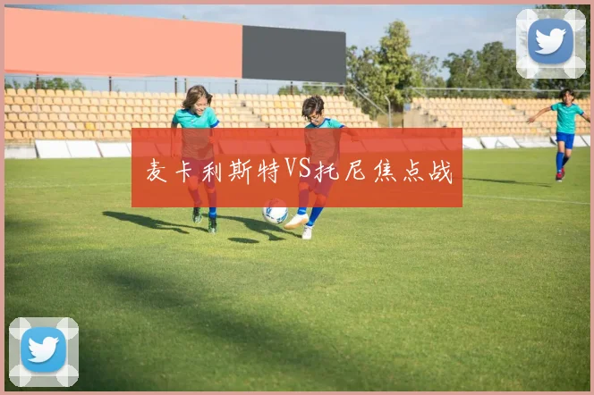 麦卡利斯特VS托尼焦点战