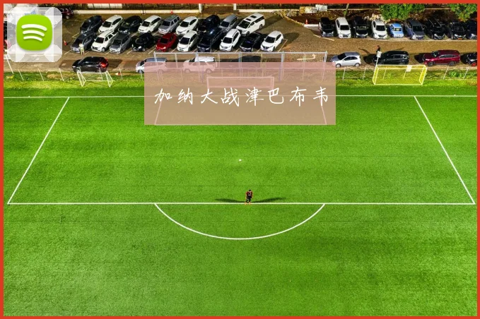 加纳大战津巴布韦