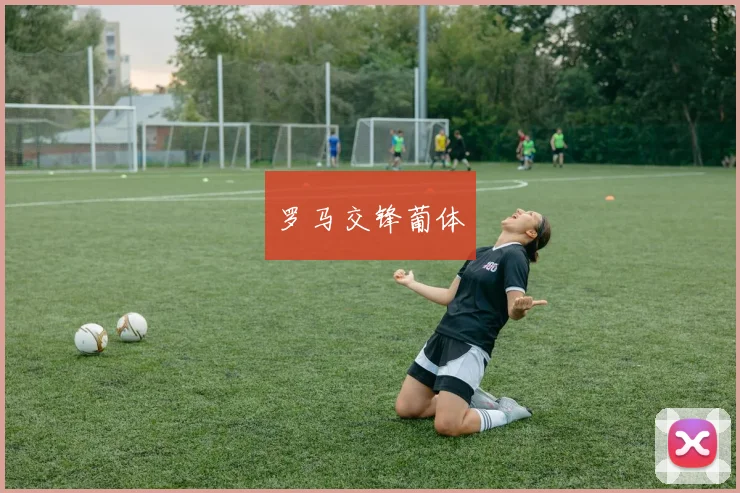 罗马交锋葡体