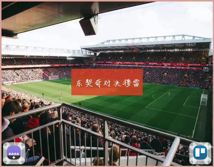 东契奇对决穆雷