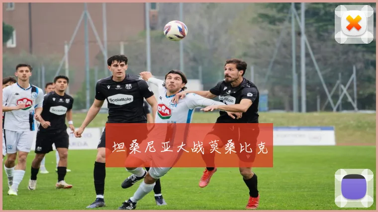 坦桑尼亚大战莫桑比克