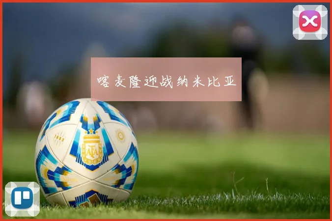 喀麦隆迎战纳米比亚