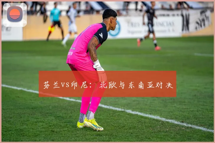芬兰vs印尼：北欧与东南亚对决