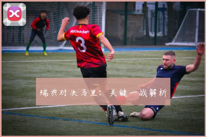 瑞典对决马里：关键一战解析