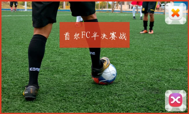 首尔FC半决赛战