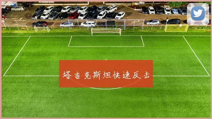 塔吉克斯坦快速反击