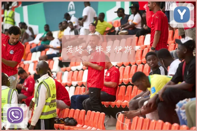 若塔争锋罗伊斯
