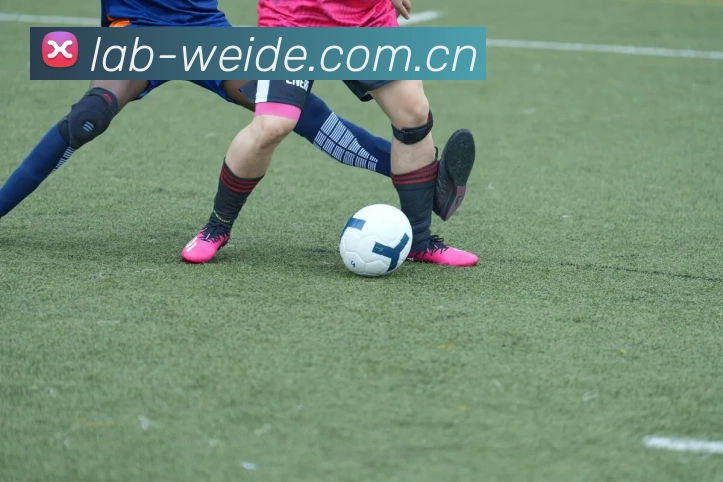 Betvictor中文网址App