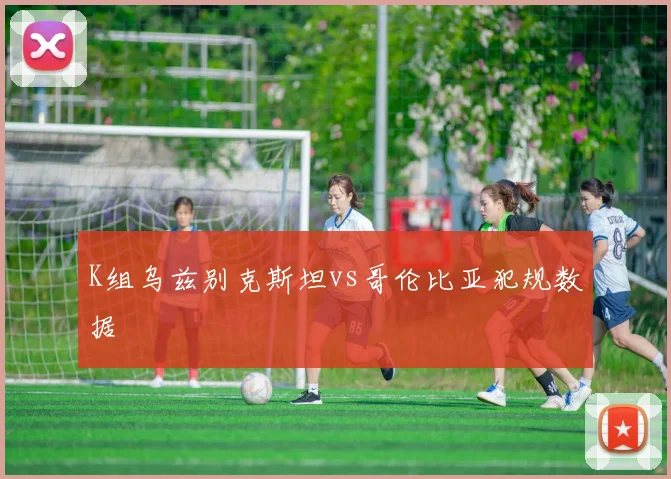 K组乌兹别克斯坦vs哥伦比亚犯规数据