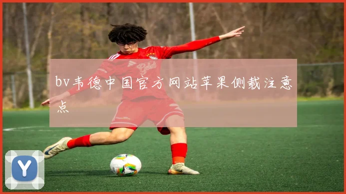 bv韦德中国官方网站苹果侧载注意点
