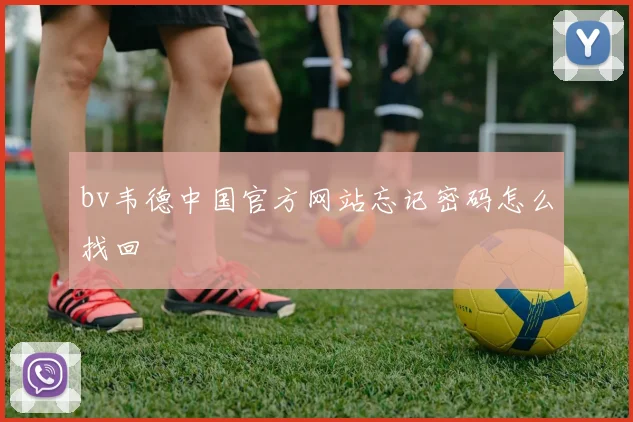 bv韦德中国官方网站忘记密码怎么找回