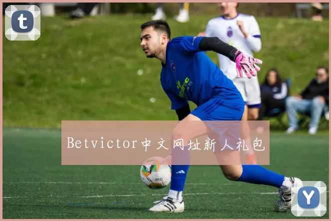 Betvictor中文网址新人礼包